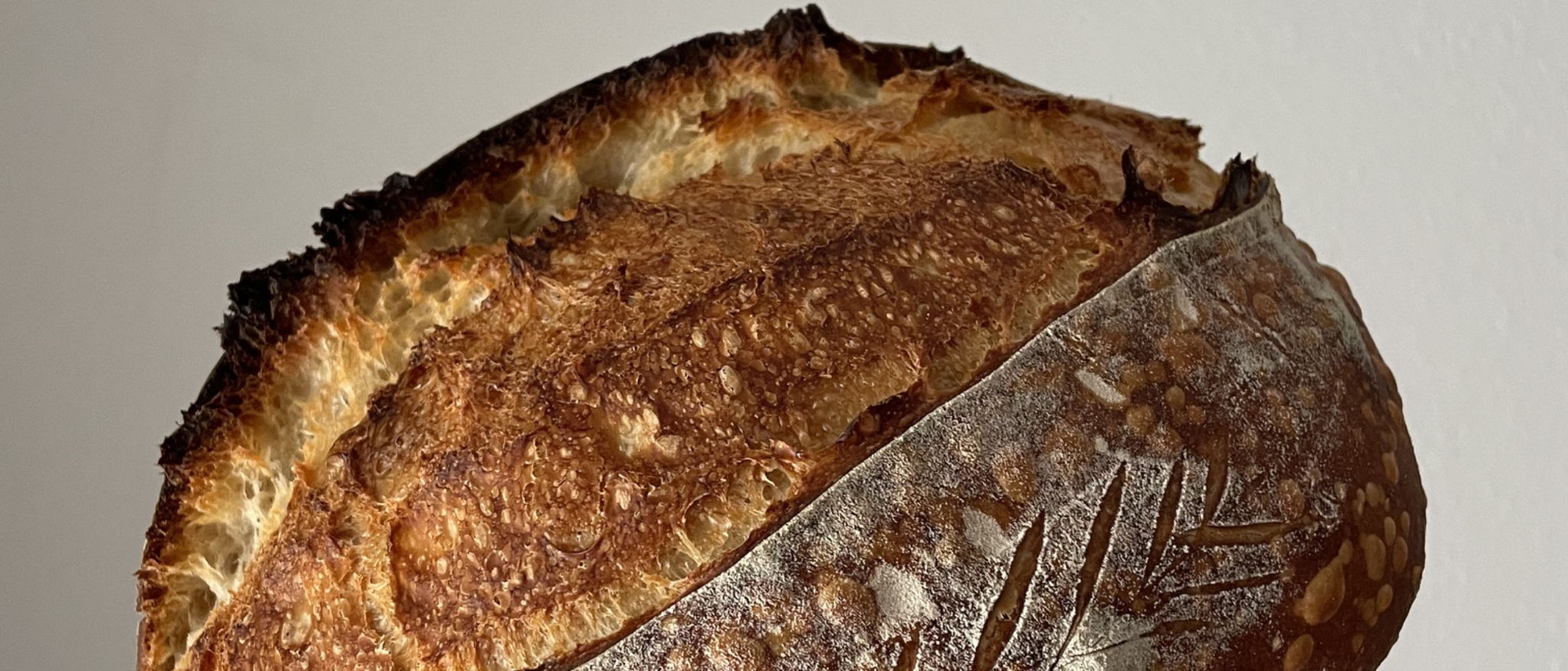 Fuller Baking Co.  | Jacksonville Micro Bakery — photo from hotplate.com