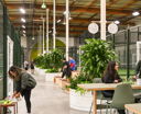 Park Padel - San Francisco South
