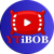 YTiBob