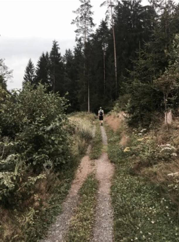 Waldnaabtail Wandern mit Hund