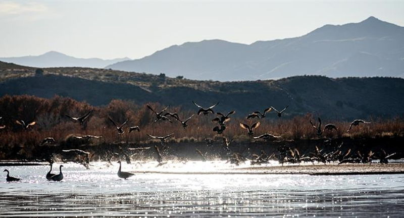 Dr. Armin Rembe Lecture Series: Protecting New Mexico's Rivers