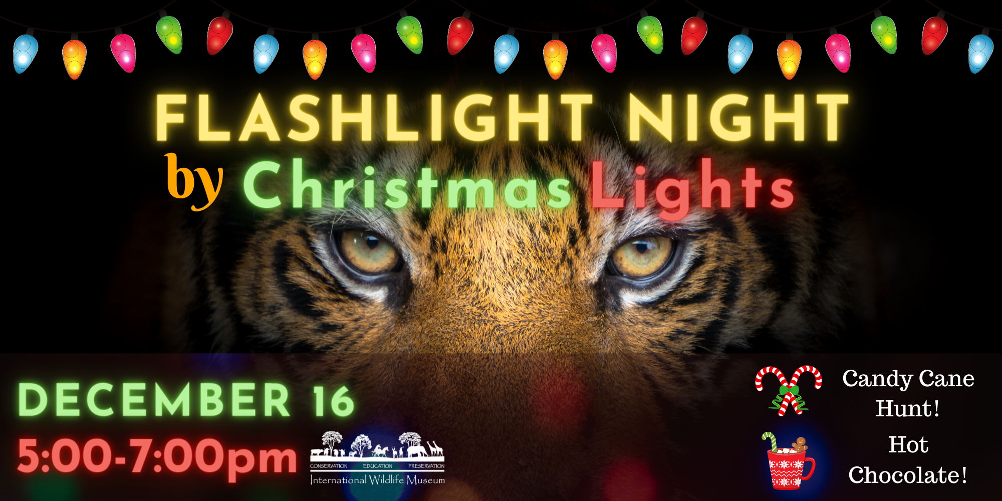 Flashlight Night by Christmas Lights promotional image