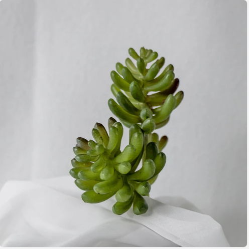 Stone Lotus Succulent (6 Pack) - Realistic Artificial Flowers and Greenery - Image 3