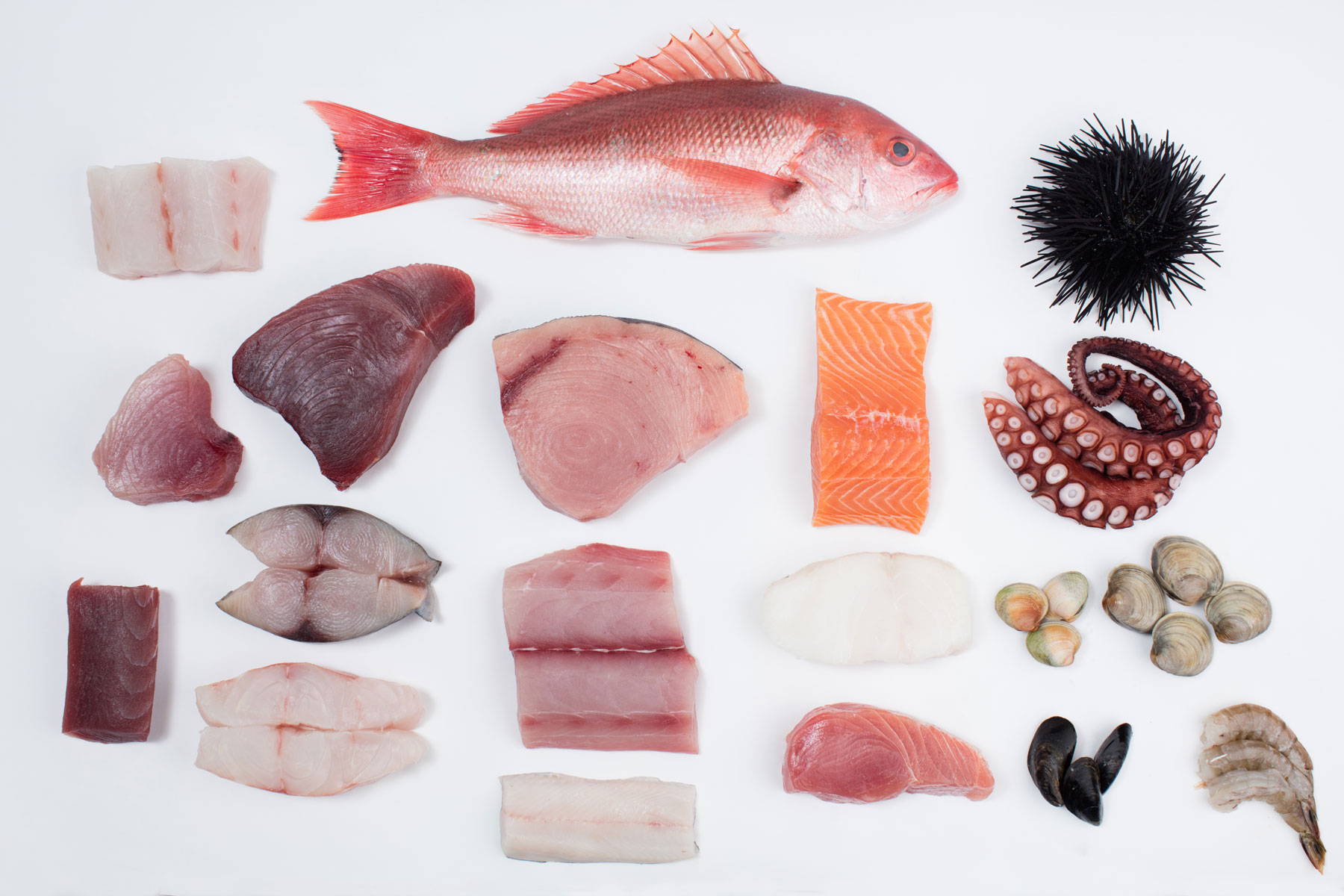 An Image of a variety of Freshly cut seafood. 