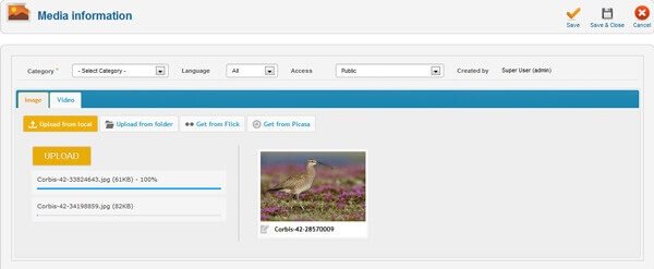 BT Media Gallery - галерея фото и видео в CMS Joomla