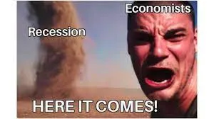Recession or Soft Landing