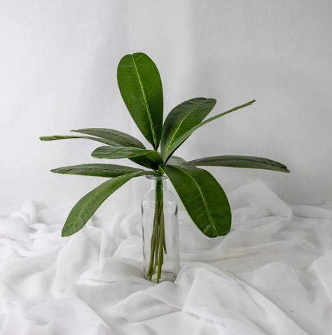Rounded Frangipani Leaf (12 Pack) -Realistic Artficial Flowers - Image 3