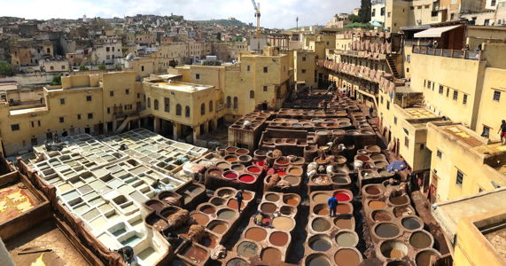 fes-tannery