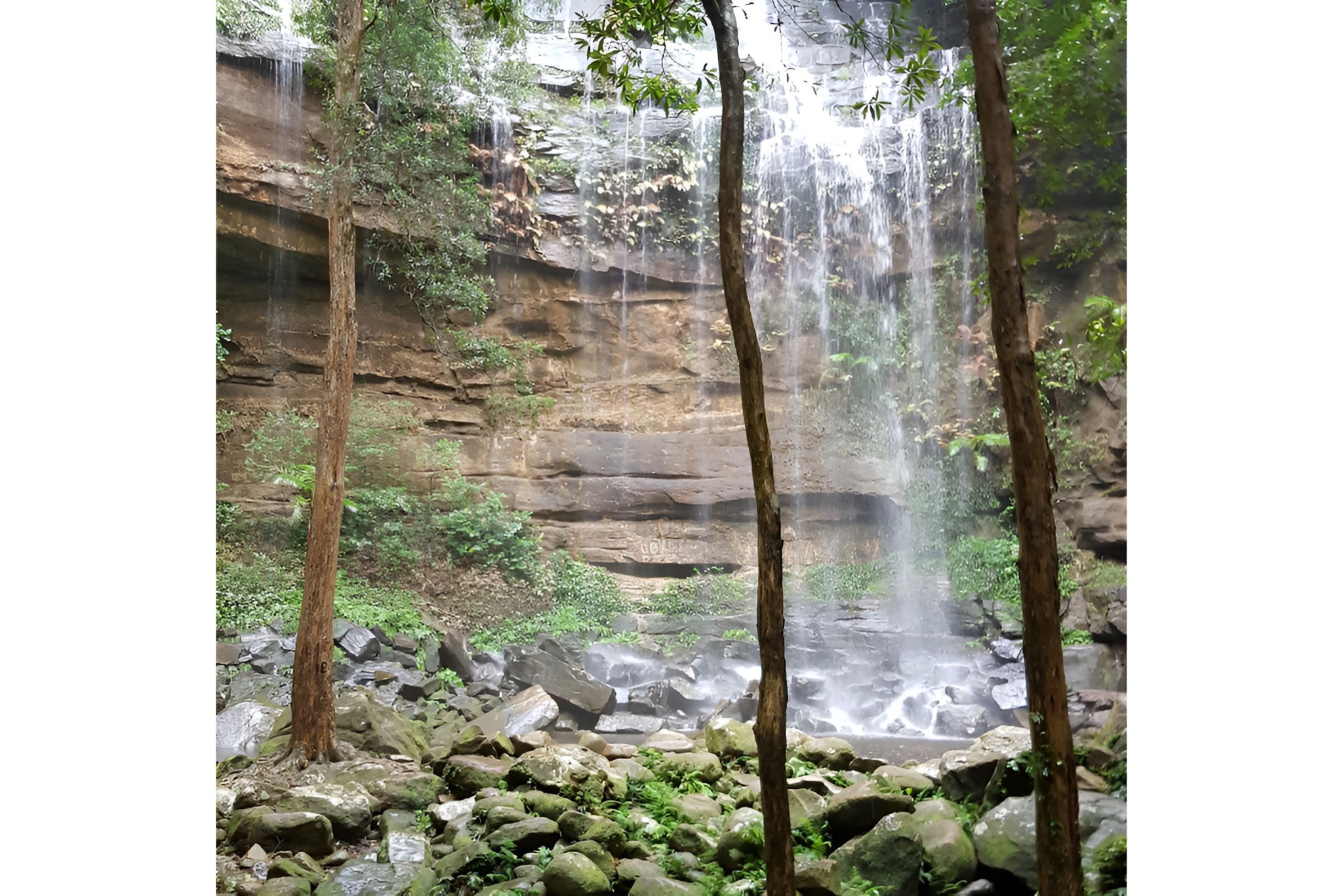 Ridgeview Equestrian Voucher - Image 5