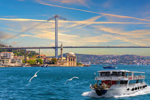 Enchanting Bosphorus Panorama with Lunch Cruise