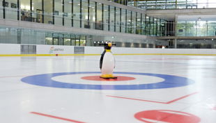 lentpark eishalle kindergeburtstag pinguin