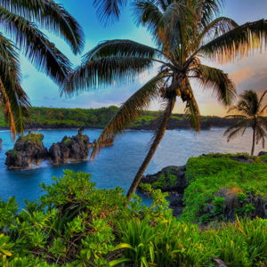 Hawaii Honey Moon Fund!
