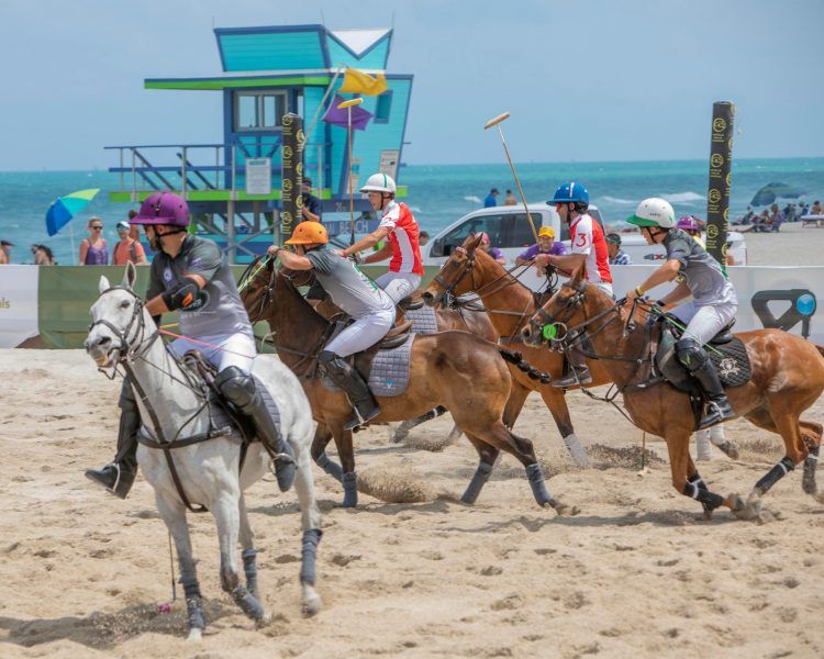featured image for story, Our monthly Guide! Things To Do in Miami in November