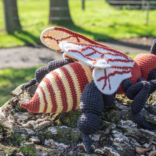 3-in-1-bundel: libel, honingbij, sprinkhaan