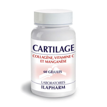 Complexe Cartilage