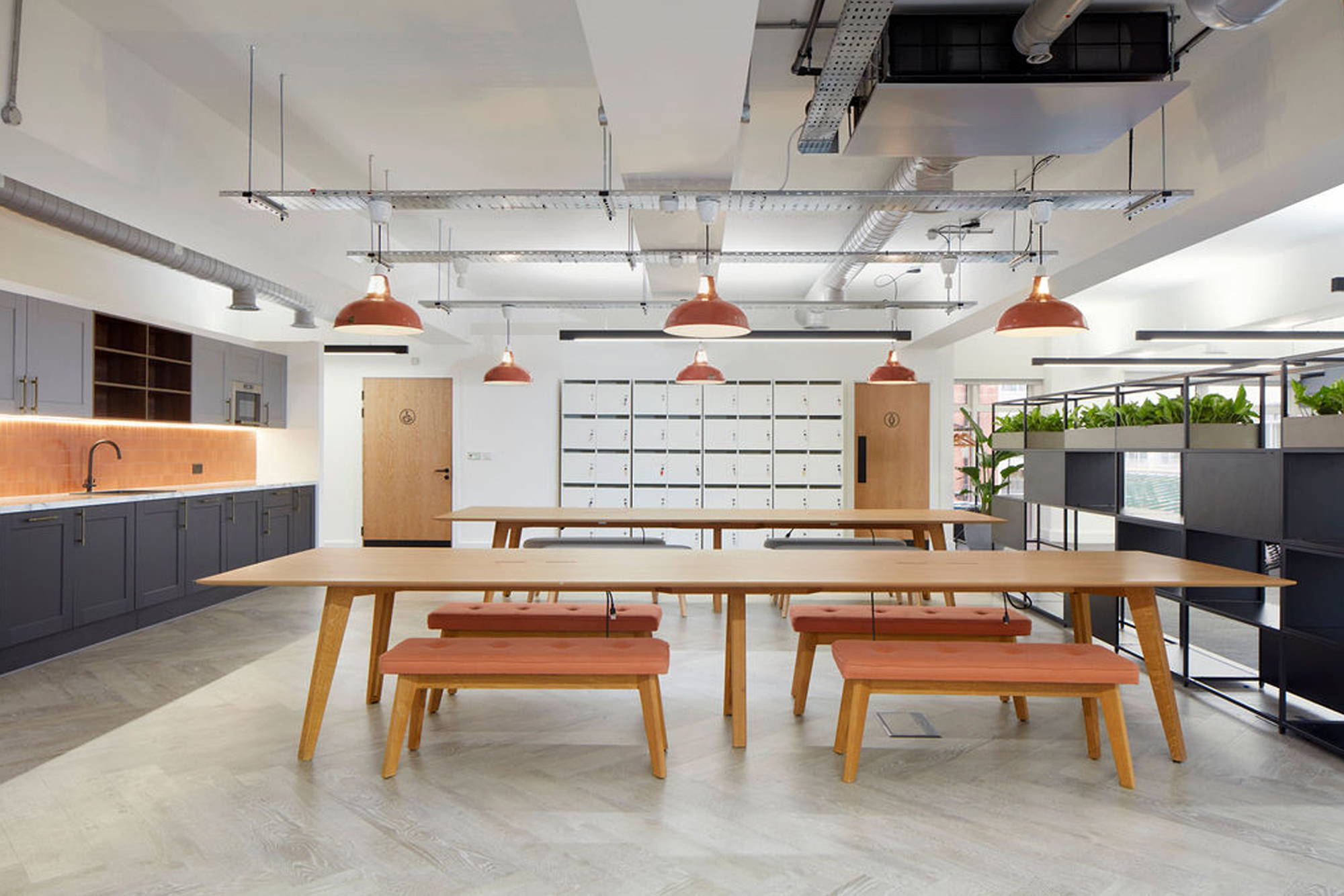 6 Large Coolicon Lampshades hang above 2 long wooden tables in a shared commercial office space. There are 4 cushioned benches per table and a green planter to divide the space from the rest of the room.