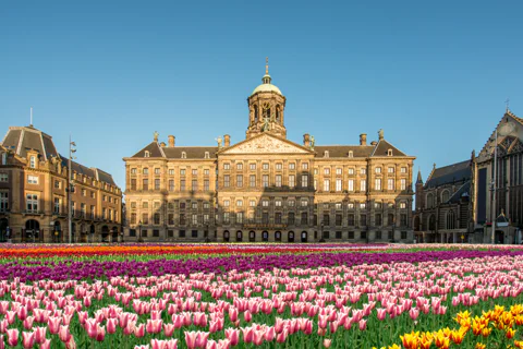 Introductory Walking Tour in Amsterdam