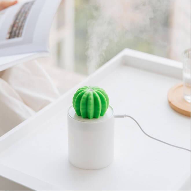 Cactus plant humidifier