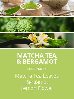 Matcha Tea & Bergamot fragrance