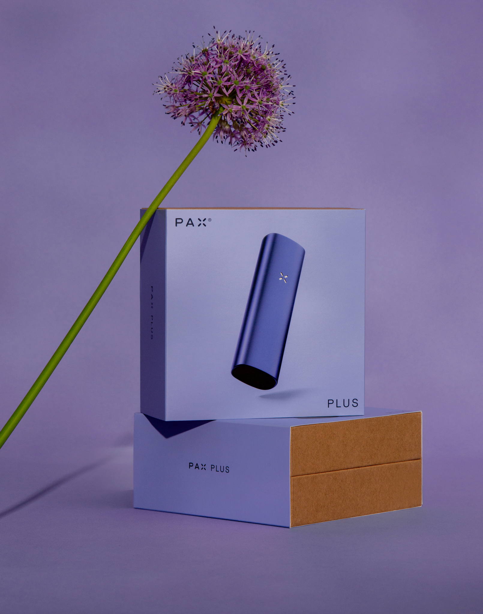 PAX MINI, PAX PLUS And PAX ERA New Vibrant Design Language