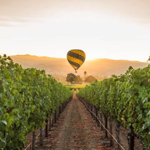 Napa Valley Hot Air Balloon Ride