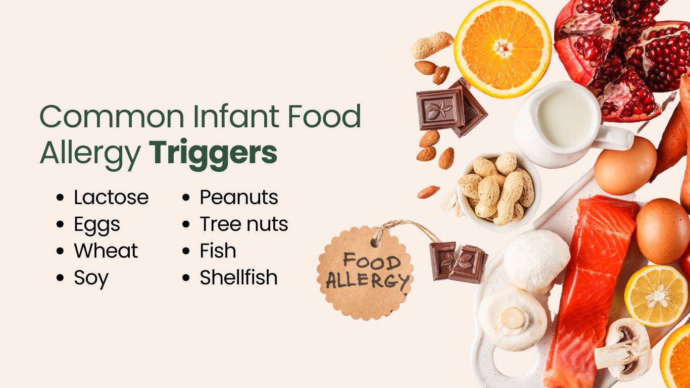 Common Food Allergy Triggers | My Organic Company