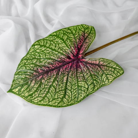 Moss Green Caladium Leaf - Realistic Artificial Flowers and Greenery - Image 3