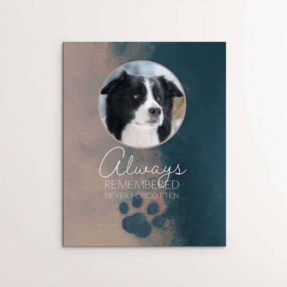 Always Remembered, Never Forgotten, Memorial, Border Collie