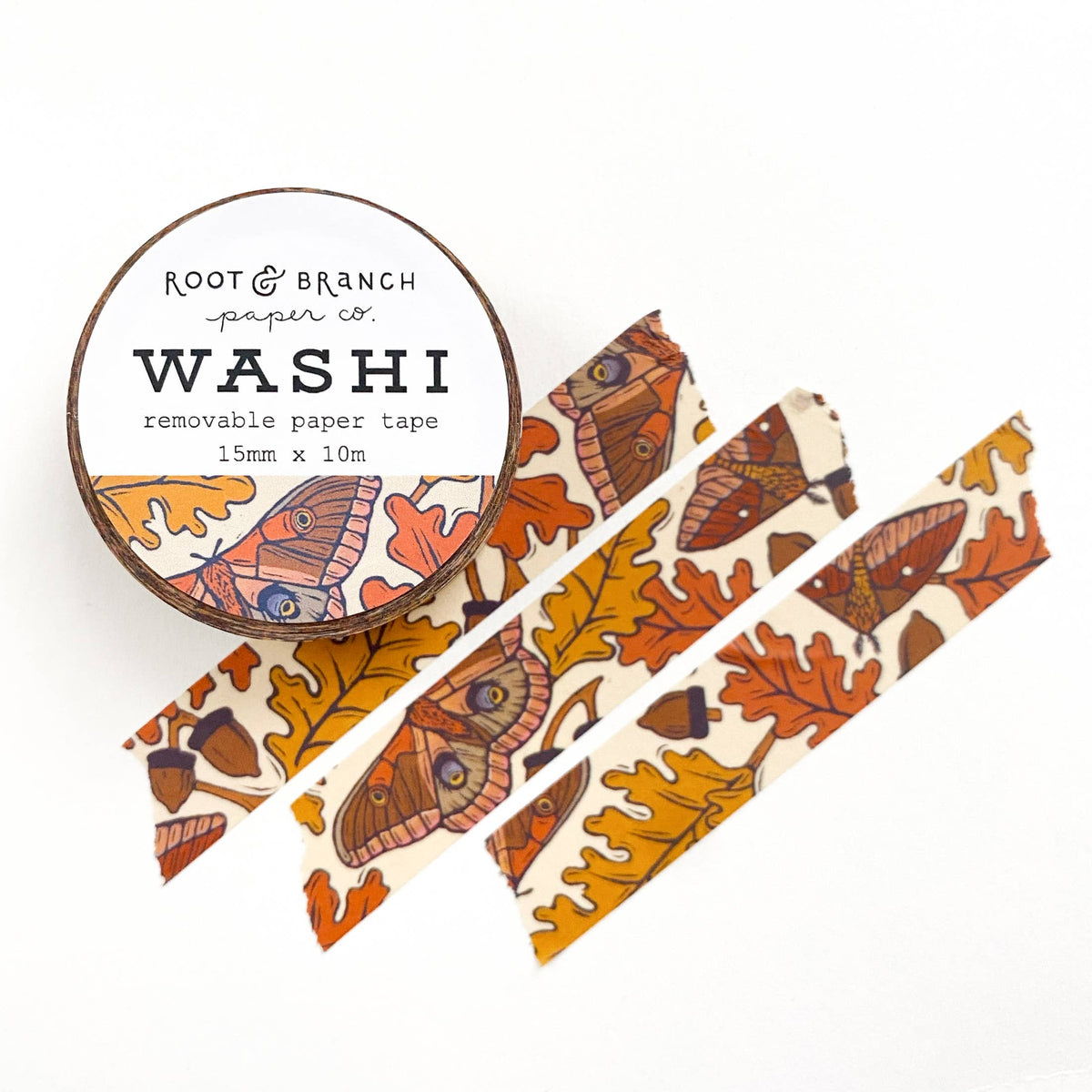 Main Content Image