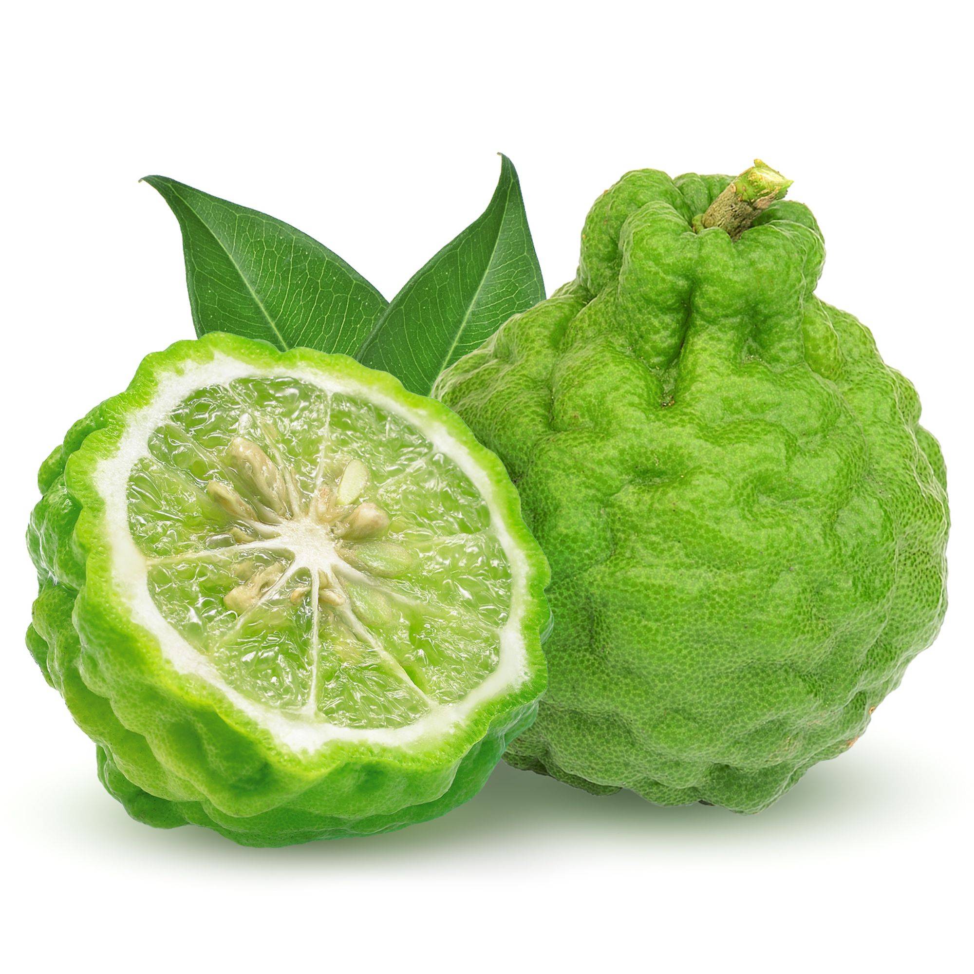 bergamot oil