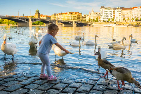 Prague Beaches: River Spots, Lakes + Beach Clubs