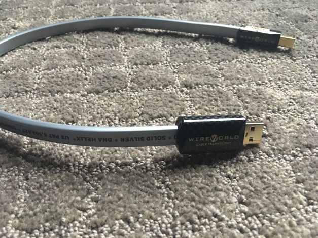 Wireworld Platinum Starlight 7 USB 2.0 - 0.5M Cable **L...