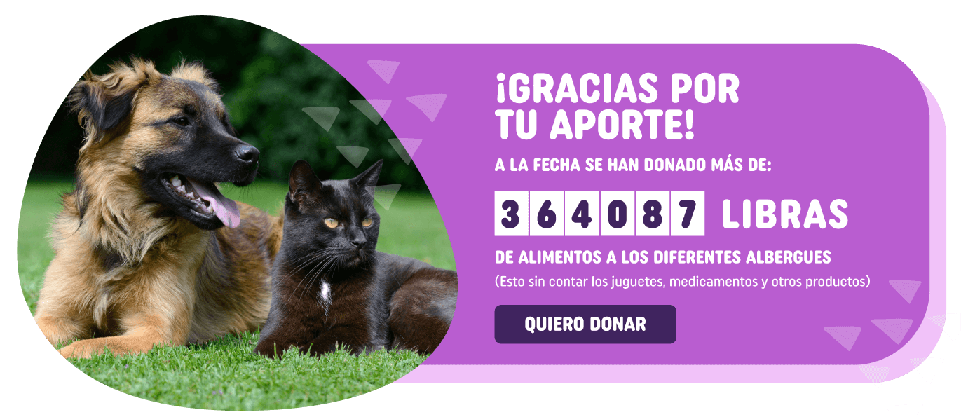 gracias por tu aporte