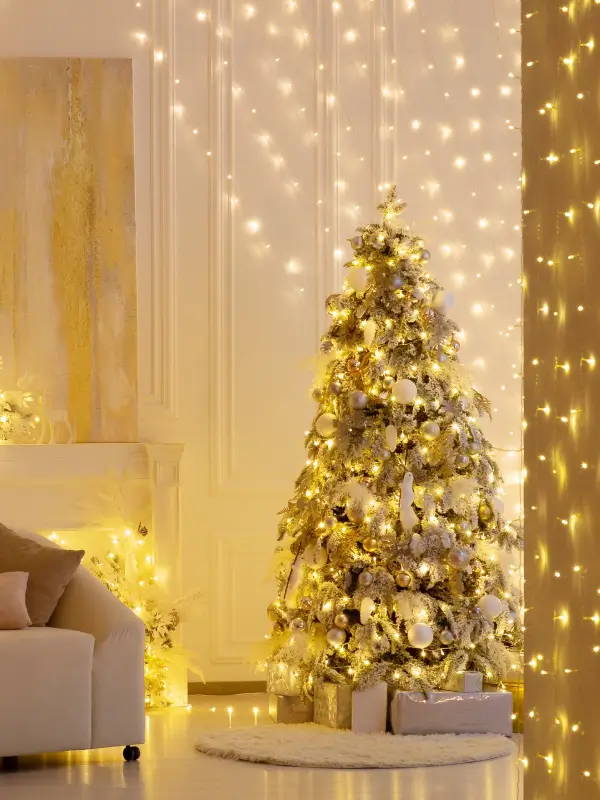 Indoor String Lights for Bedroom Living Room Ollny