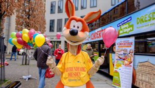 stadtrundfahrt dresden sydneys kindertour rz