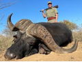 Cape Buffalo Hunt with Sandstone Safaris, South Africa's Premier Outfitter
