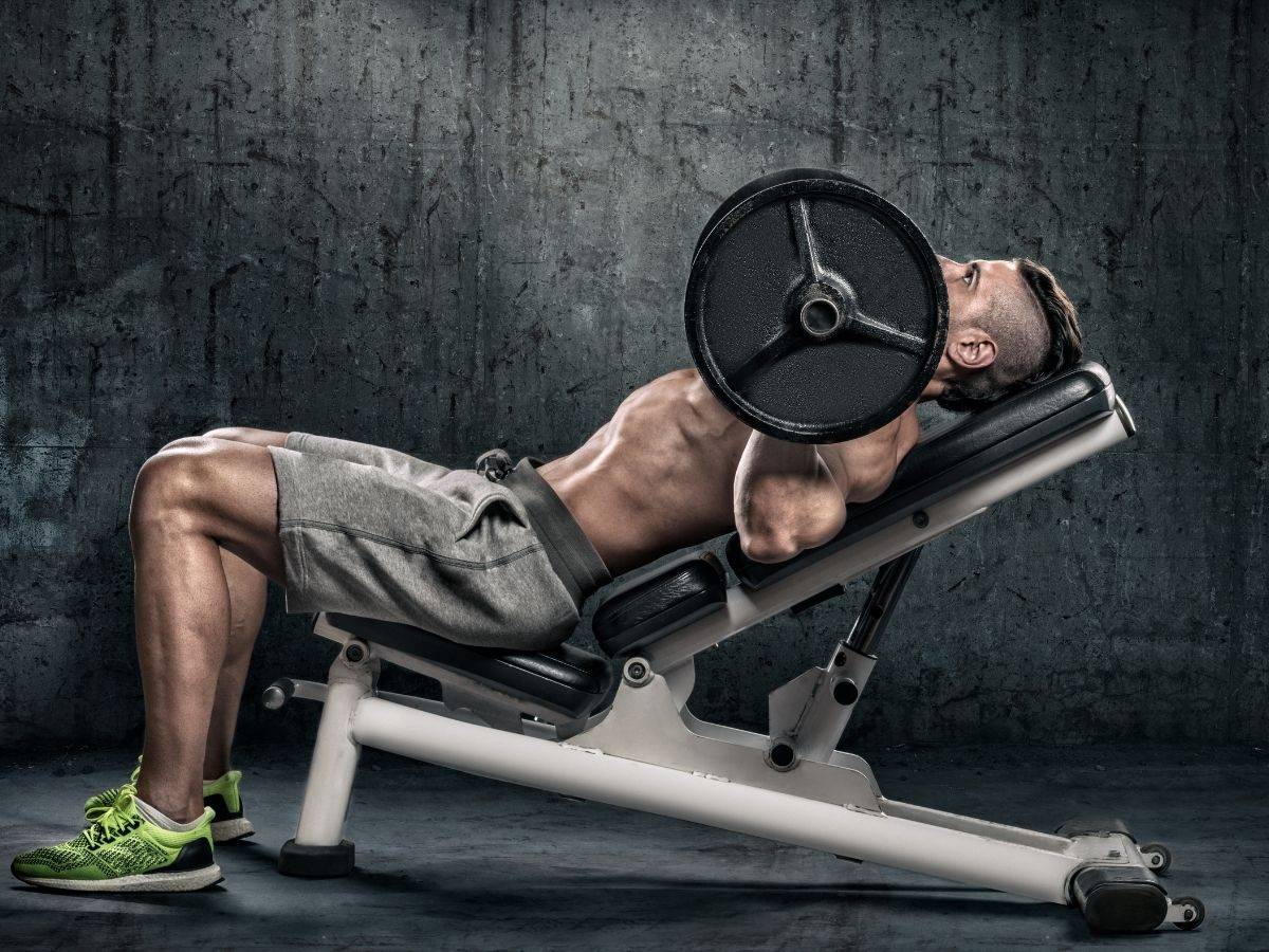 commercial adjustable weight bench