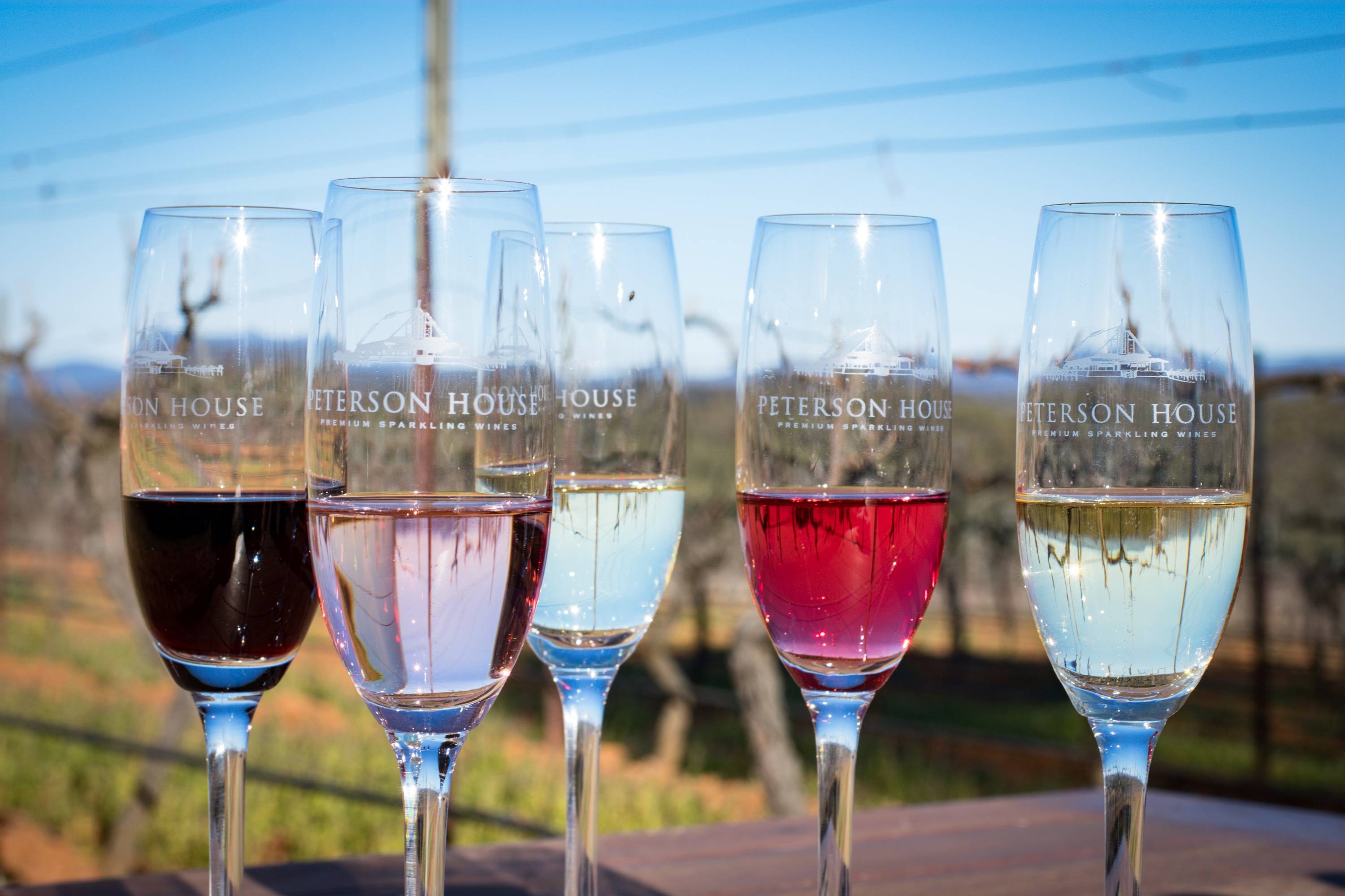 Peterson House Sparkling Wine Champagne in glasses on table