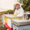 female-beekeeper-in-beehives