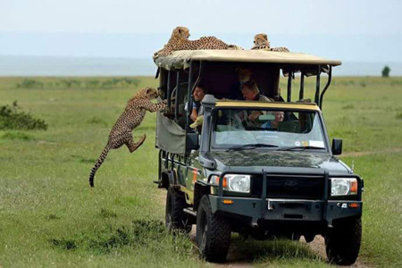 Masai Mara Park.jpg