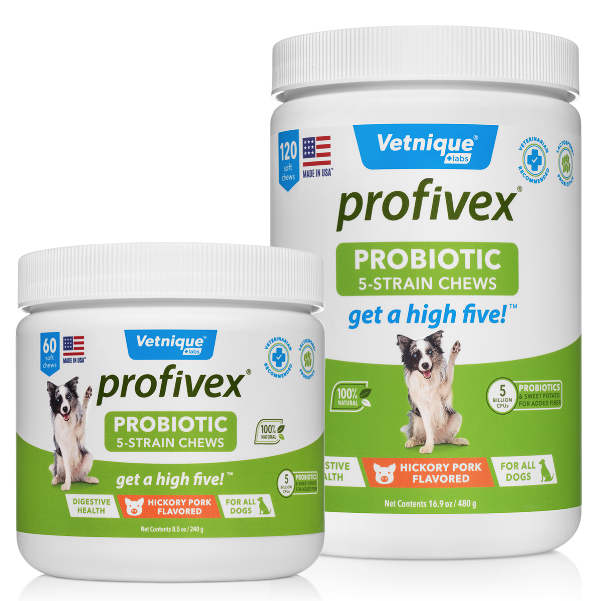 probiotic for dog and cats to support digestive health