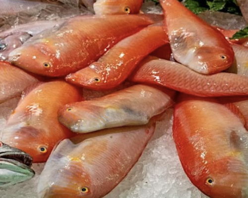 Cooking classes Venice: Shared: giro in gondola e pesca con le mani