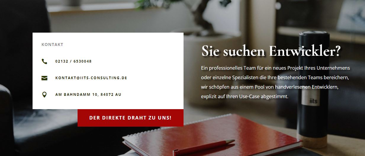 iits-consulting product / service