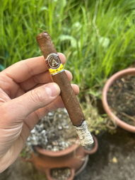 Cigar Session Photo