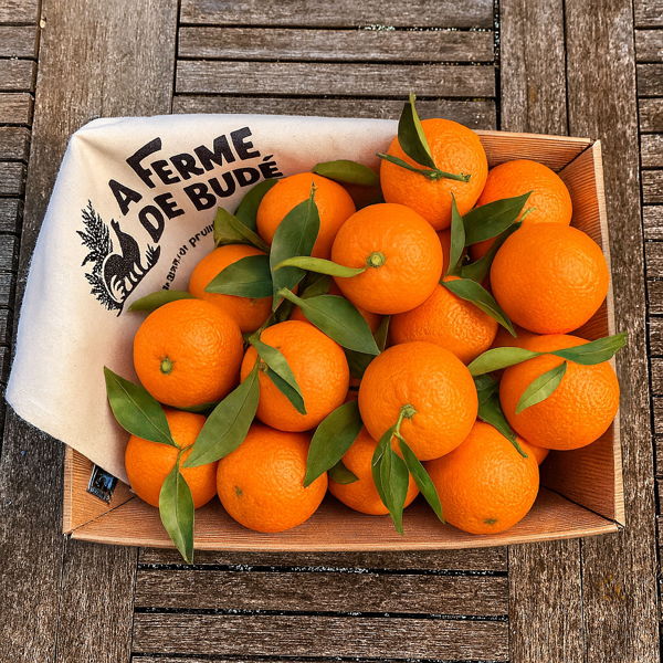 carton-de-clementines-bio-3kg