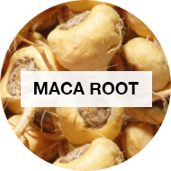Maca Root