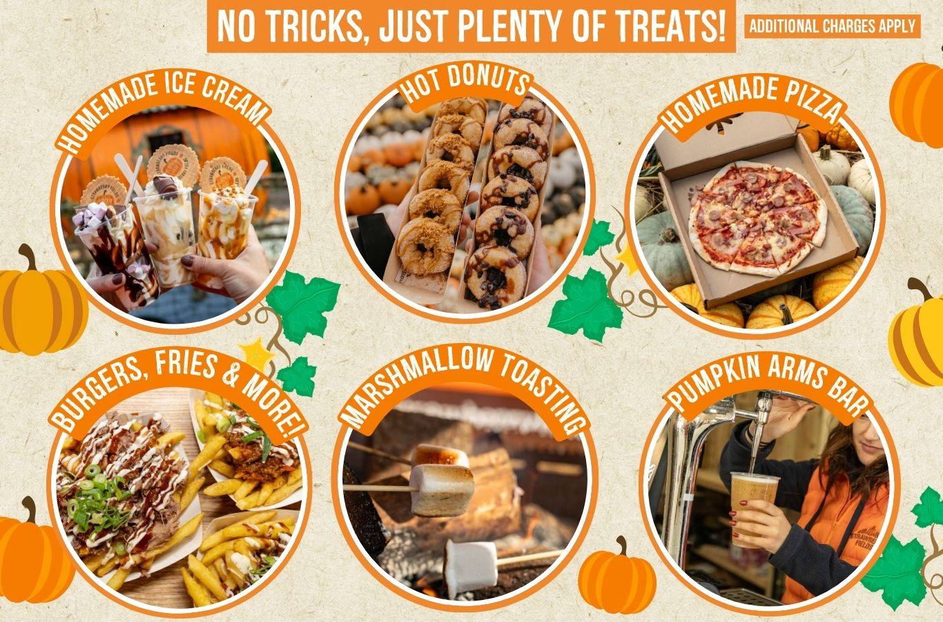 Discover the biggest and best pumpkin festival in Devon & Cornwall, and South West! Pumpkin Fest at Strawberry Fields is the ultimate family day out with a huge pumpkin patch, pumpkin picking, maize maze, barrel train rides, photo spots, tasty autumn treats & fun for all ages. Book now!
