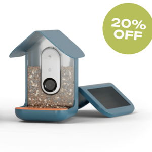 Bird Buddy : Smart Bird Feeder with Solar Roof