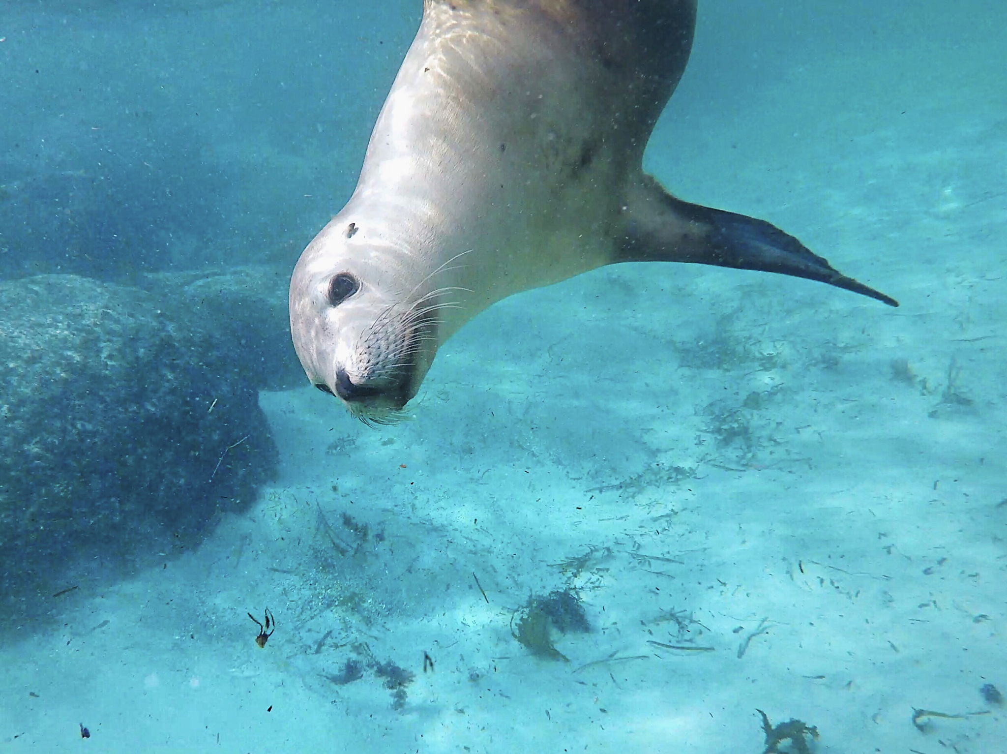 Adventure Bay Charters