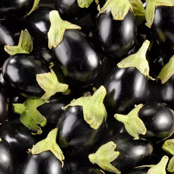 aubergine-mini